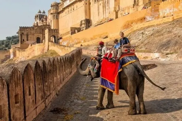 Elephant Ride at Amber Fort 