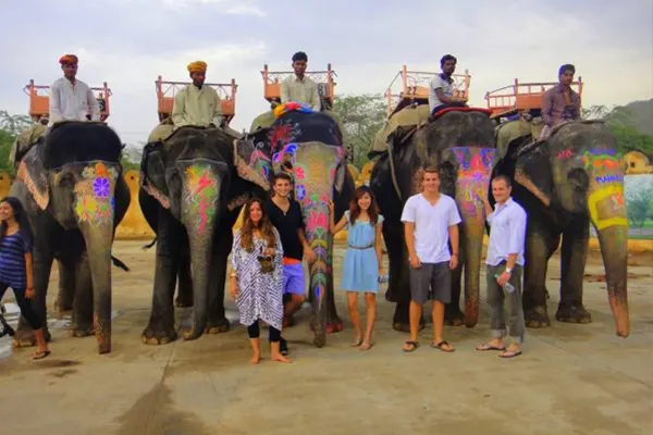 Explore elephant farm is one of a best things to do in Jaipur 