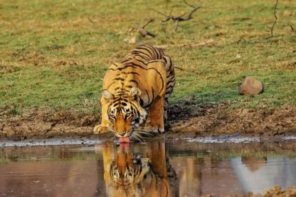 Nahargarh Biological Park 