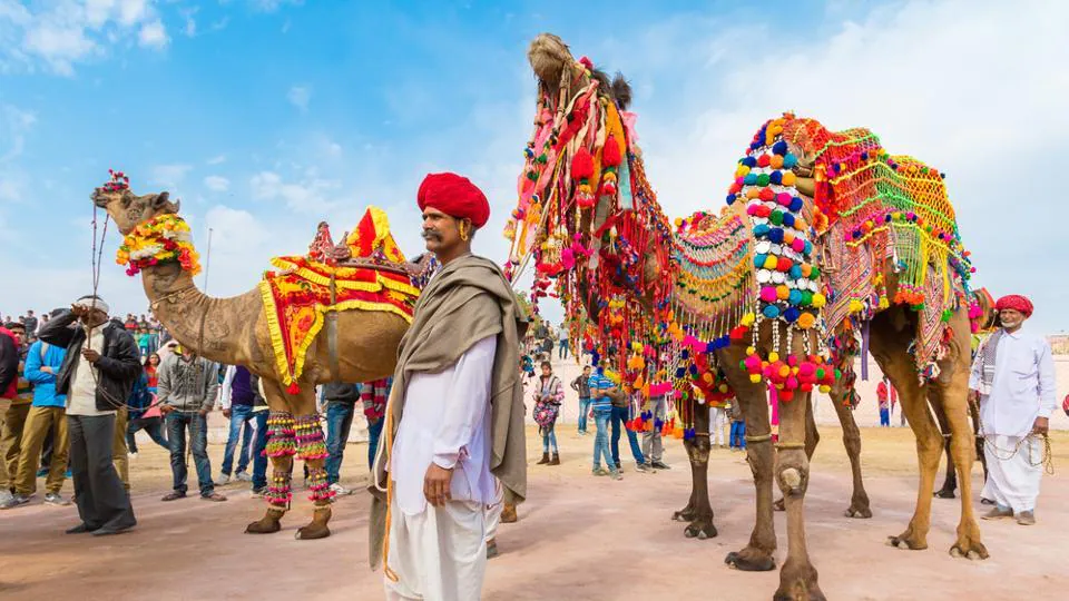 Camel Festival, Rajasthan