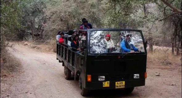 canter-safari-600x426