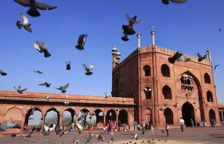 northern-india-travel-package--img